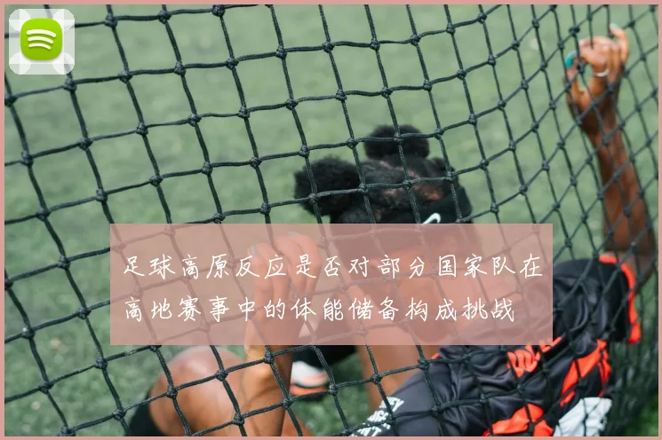 足球高原反应是否对部分国家队在高地赛事中的体能储备构成挑战